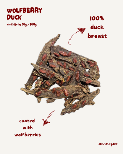 WOLFBERRY DUCK